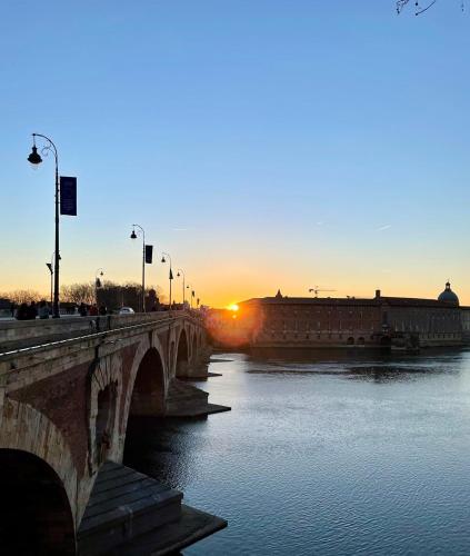 T2 au cœur du quartier Saint-Cyprien à Toulouse, Toulouse (fotografie 10)