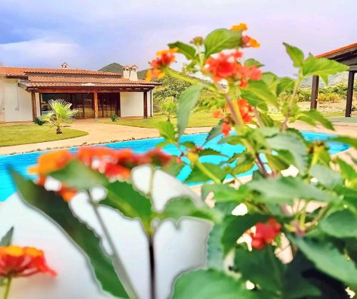 Villa IS CARCURIS Jennas