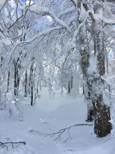 Appartement agréable en plein cœur de ville (Appartement agreable en plein cœur de ville) in Raon-l'Etape