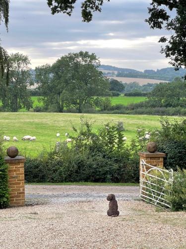 A környék, Everdon Hill House - B&B in Everdon