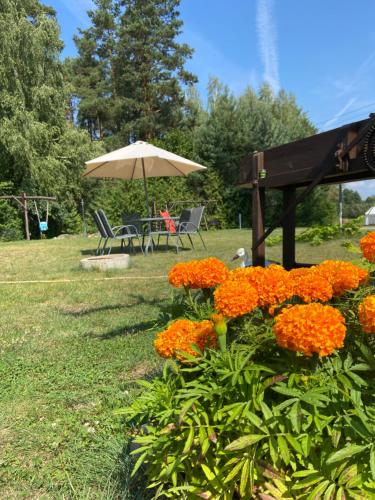 Agroturystyka Jeroniczówka (Agroturystyka Jeroniczowka) in Kolonia Porosly