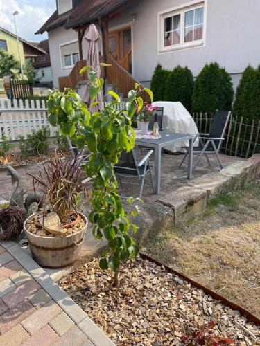 2 bedroom Apartment in wine region in Ipsheim