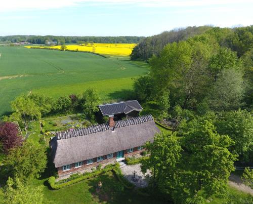 Reetdachkate Fuchsgraben - naturnah & stilvoll mit Wald-Sauna in Steinbergkirche, Deutschland