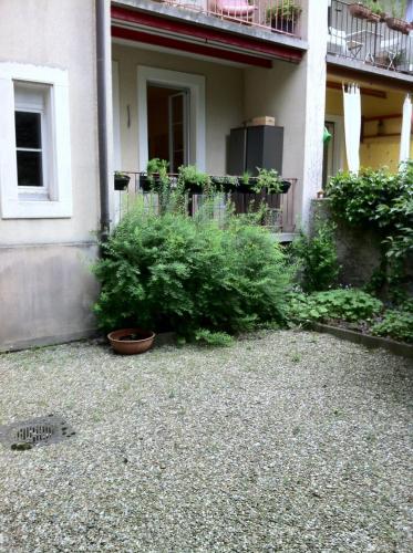 Old city center direct to river Rhine, Basilea (foto 6)