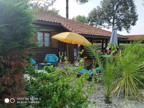 Chalet Camping Les Vignes 4