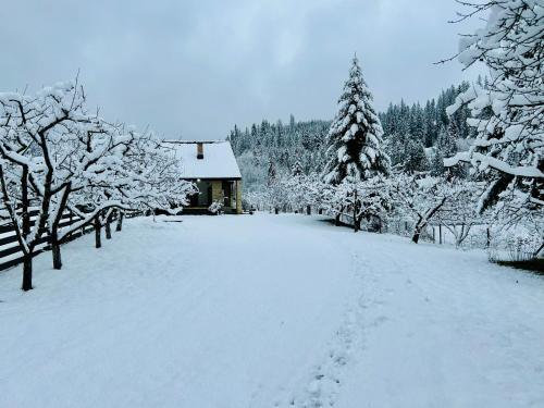 Forest Chalet Sucevita in Сукевіта