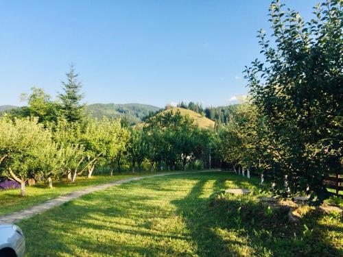 Forest Chalet Sucevita in Сукевіта