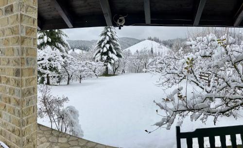 Forest Chalet Sucevita in Сукевіта