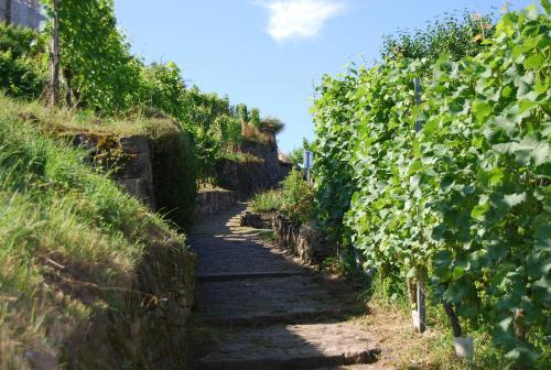 Közeli látványosságok, "Unter der Yburg" in 71394 Kernen - Stetten in Kernen