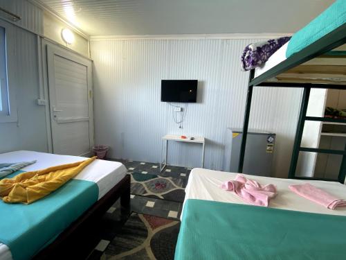 Octopus Hotel – Dahab, IN
