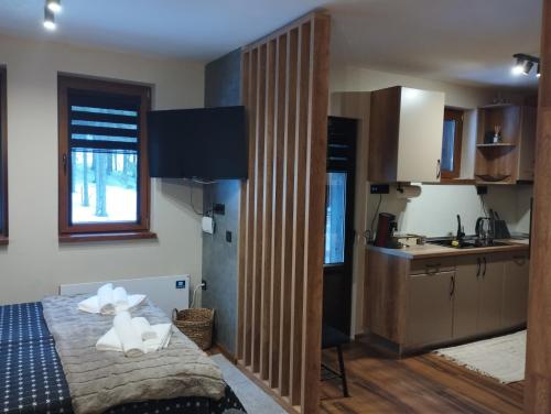 студио Е 13, Pamporovo (fotografie 9)
