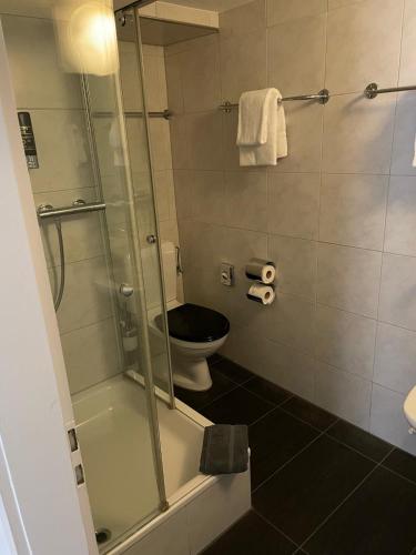 ROESLI Guest House - image 2