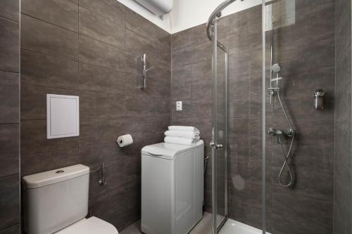 One-Bedroom Apartment image 6