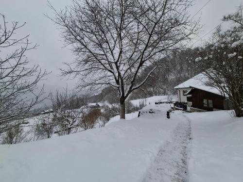 Casuta de sub munte in Pestrițu