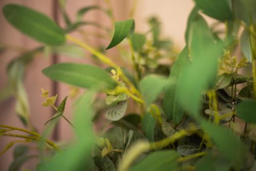 Hout Bay Luxury Home