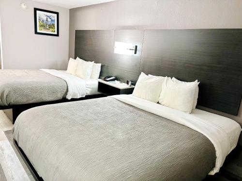 Quality Inn Raynham - Taunton - image 31