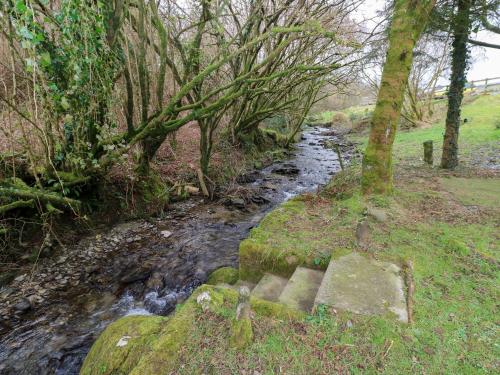 The Hen Pen - image 7