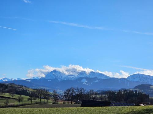 Skats, Gassmeshus in Mencberga