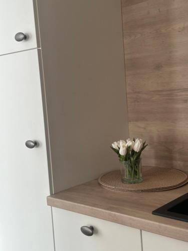 Essential Living in 奥雷奇奥瓦博顿