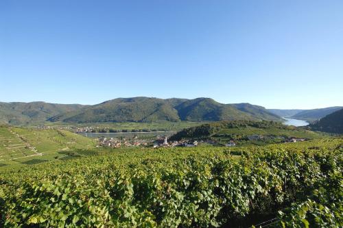 Apartments Mauritiushof Weingut FJ Gritsch