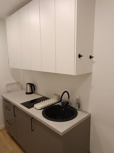 New Gray apartment in the center of Riga in Grinzinkalns (történelmi dolgozók negyede)