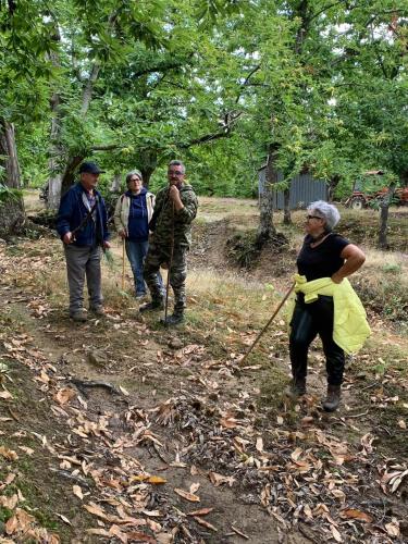 牧师之家住宿加早餐旅馆