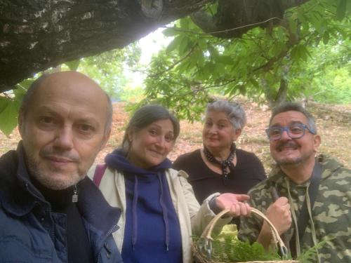 牧师之家住宿加早餐旅馆