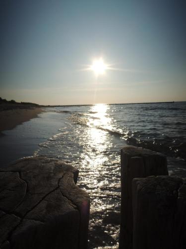 Beach, Achtern Diek Haus 6 Wohnung 1 in Zingst