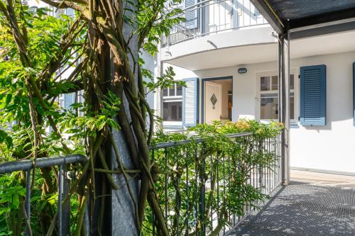 Вхід, Boddenblick Wohnung 12a in Цінгст