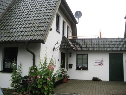 Вход, Ferienwohnung Malvenhaus in Цингст