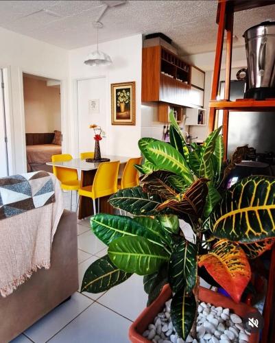 Apartamento Fazendinha - Macapá