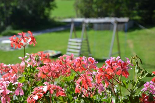 Holiday-Appartements - main image