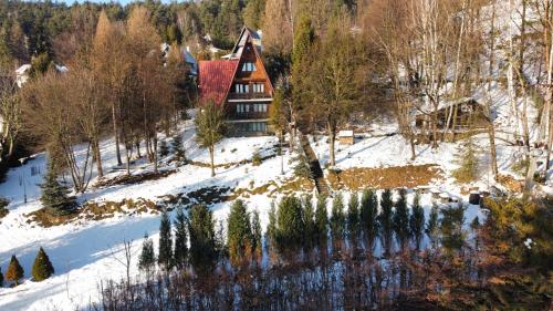 BUKOWA Jezioro Żywieckie Beskid Żywiecki Śląski Sauna Jacuzzi Kominek Morsowanie Tresna Żywiec Szczyrk