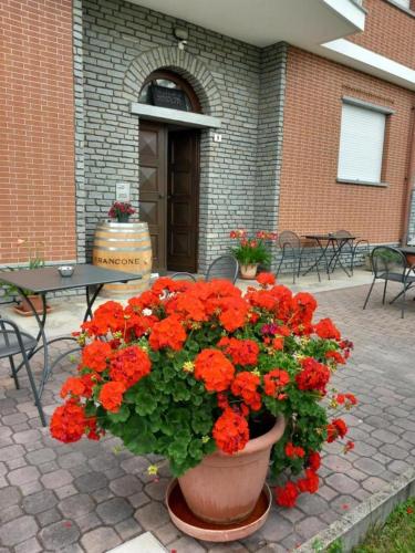 B&B Mary - image 13