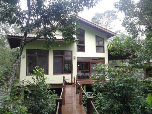 Beach house surrounded by lush nature