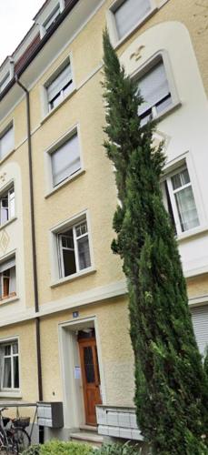 Old city center direct to river Rhine, Basilea (foto 10)