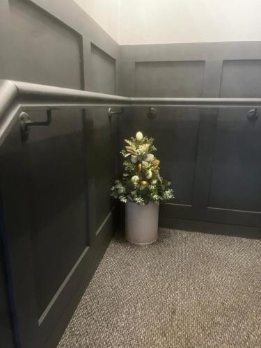 Shanroe Accommodation in 貝勒克斯