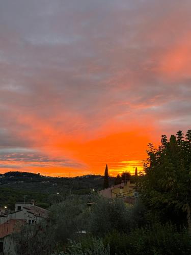 La Limonaia di Vanna