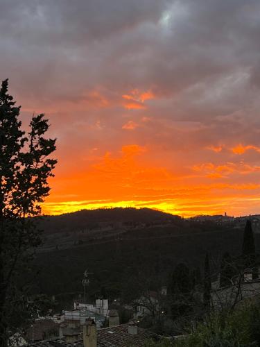 La Limonaia di Vanna