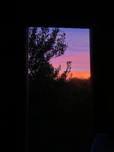 Habitación Privada en El Refugio - Santa Isabel (Habitacion Privada en El Refugio - Santa Isabel) in La Pedrera