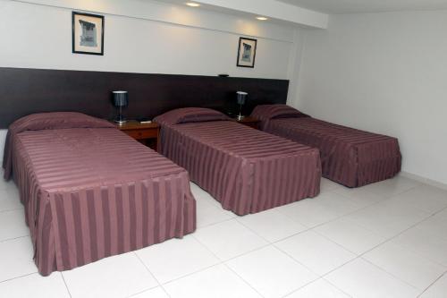 Standard Triple Room (3 Beds) room in Hotel Plaza Apolo