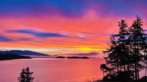 . Oceanfront Garden Suite - Stunning Views & Wildlife