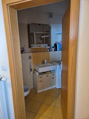 Bathroom, Apartman Alfa pod sjezdovkou in Cerny Dul