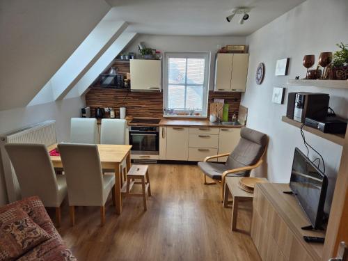 Facilities, Apartman Alfa pod sjezdovkou in Cerny Dul