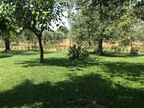 Locazione turistica Appart. all'interno di un Oliveto