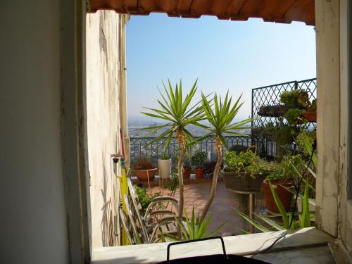 RISINgSUN, Naples (photo 11)