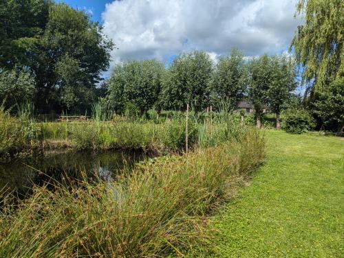 Kilátás, B&B de Pinguin in Verspr.h. Bergentheimerveen en omgeving