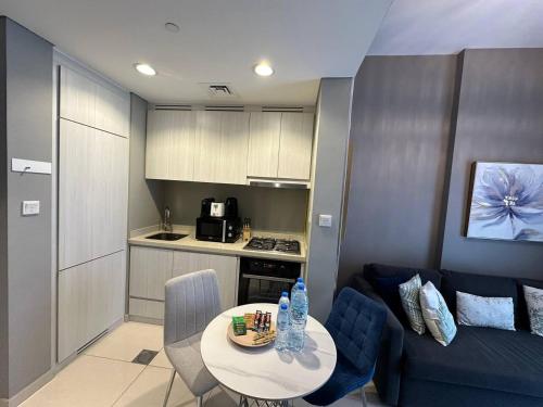 Elegant 1BHK Apartment in Business Bay, Dubaï (photo 8)