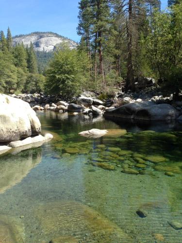 Grant's Camp in Wawona (CA)
