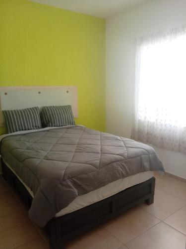 Casa TORTUGA, Cancún (fotografie 6)